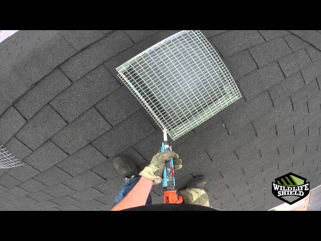 Working safely on a roof