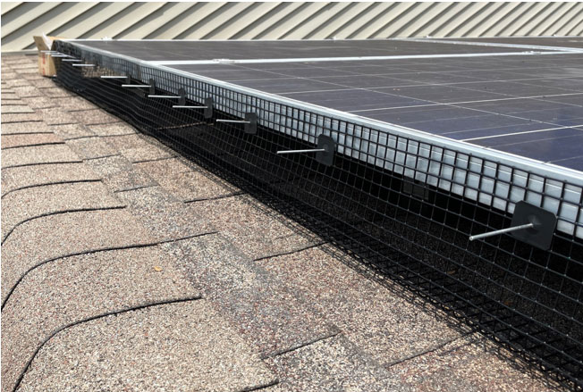 Person installing squirrel guard